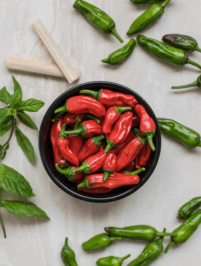 The Hottest Summer Festival in the UK – Benington Chilli Festival