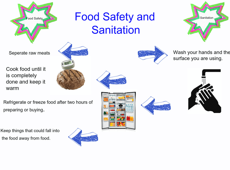 Essay on food security