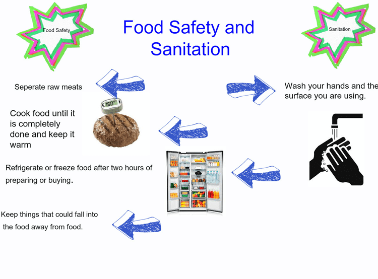 food safety and sanitation essay