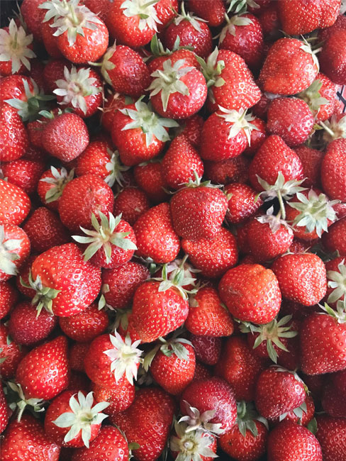 Stretch Fresh Produce